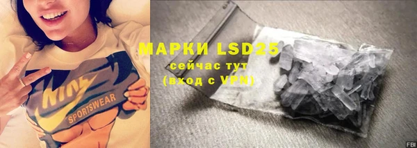 PSILOCYBIN Бикин