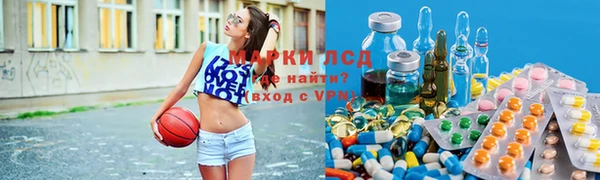 дмт Нягань