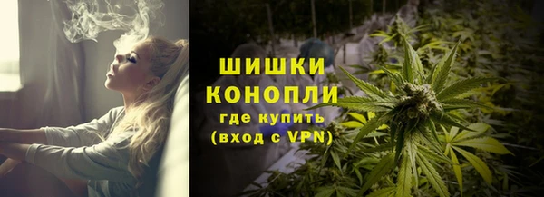 дмт Нягань