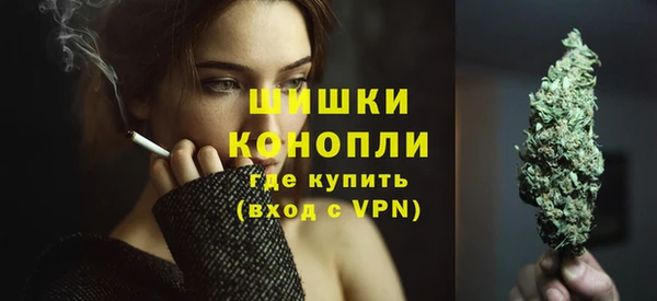 стафф Новодвинск