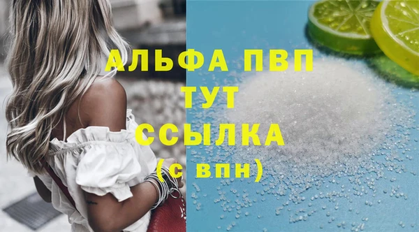 стафф Новодвинск