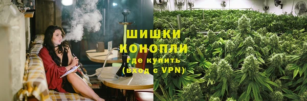 дмт Нягань