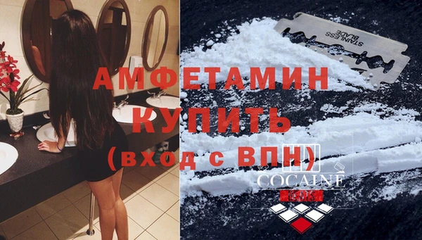 стафф Новодвинск