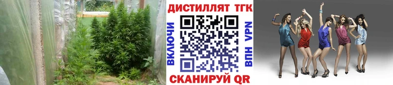 Дистиллят ТГК вейп  Киселёвск 