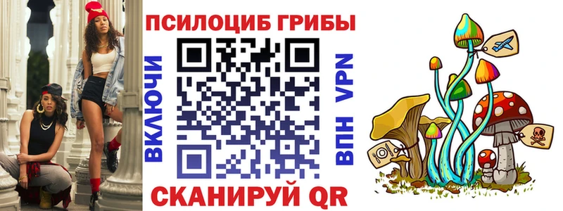Галлюциногенные грибы Psilocybine cubensis  Киселёвск 